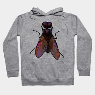 Fly Hoodie